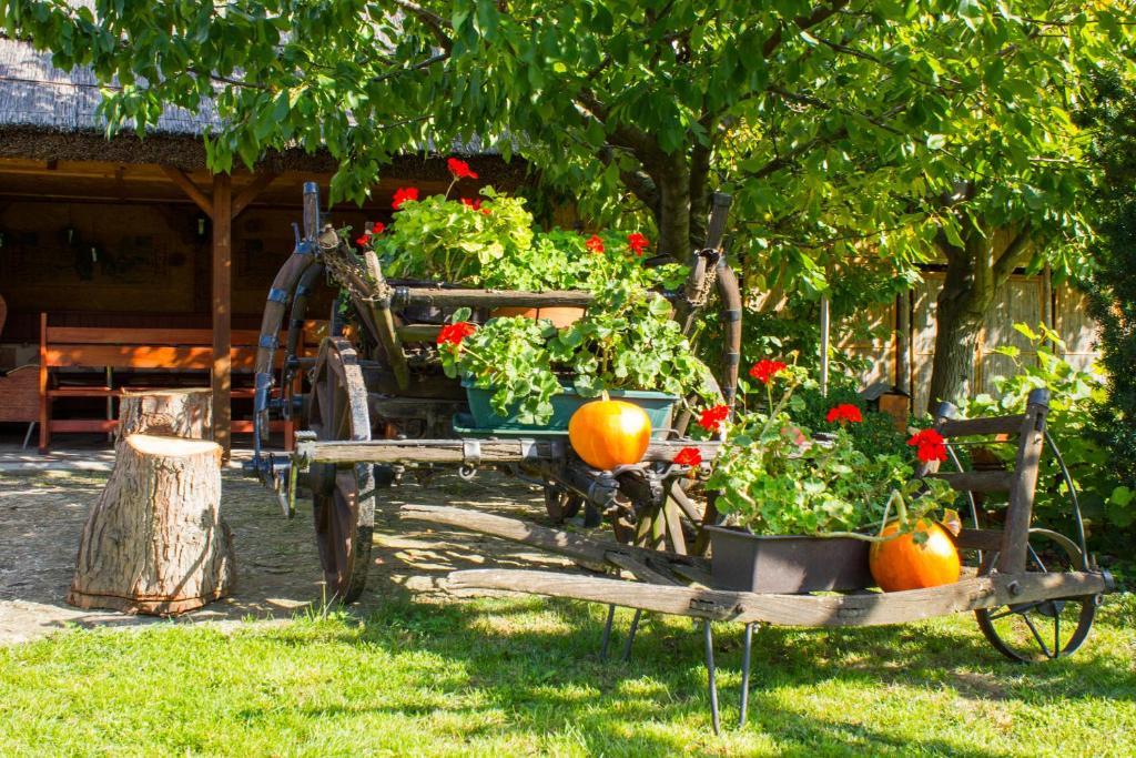 Kaktusz Villa Хевиз Экстерьер фото